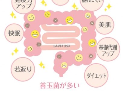 腸活で若返り＆体質改善