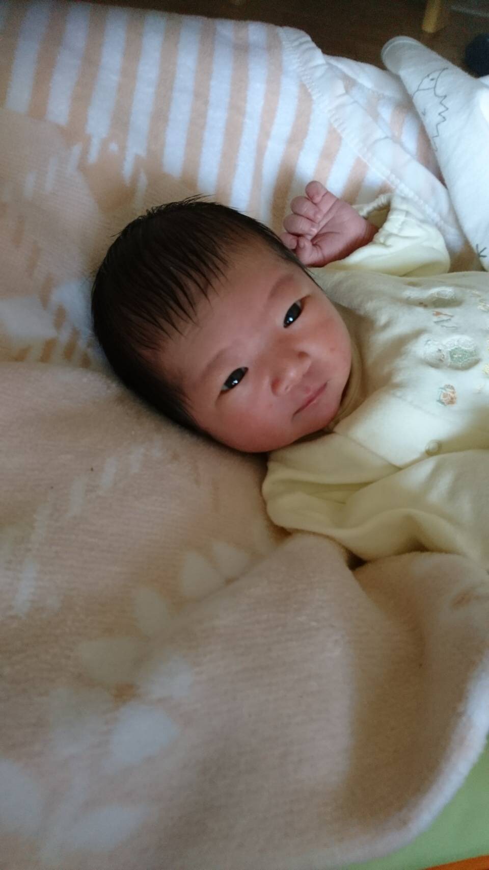 新生児 星詠みサービス