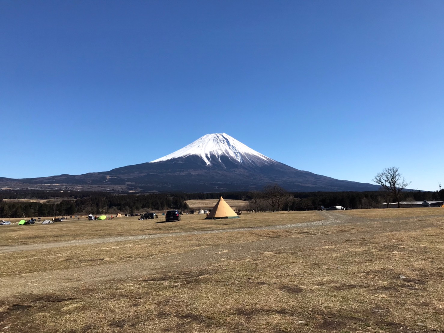 キャンプ日記～ふもっとぱら～